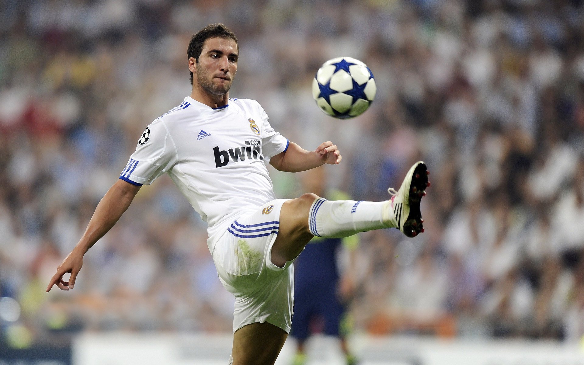 亚冠联赛中国青年队惨败 球迷期待教练调整,亚冠青训