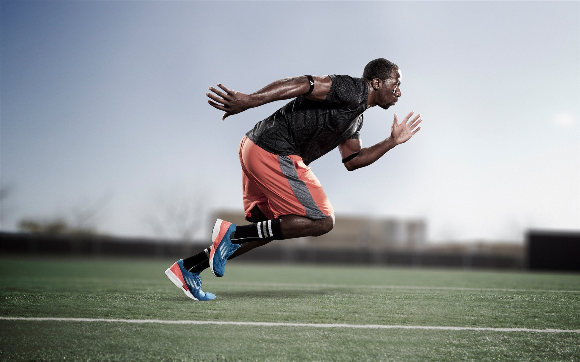 中国女排主教练谈战术创新方向,中国女排主教练人选确定了吗